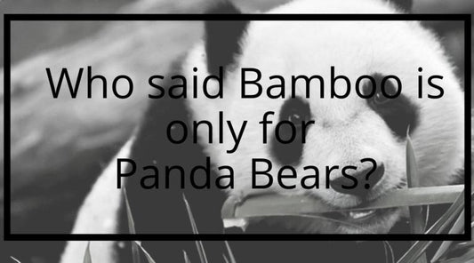 Who said Bamboo is only for Panda Bears