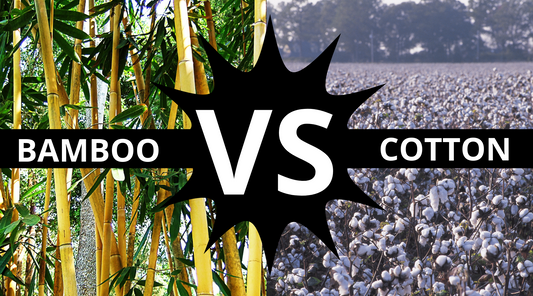 Is it time to make the change : Bamboo vs Cotton