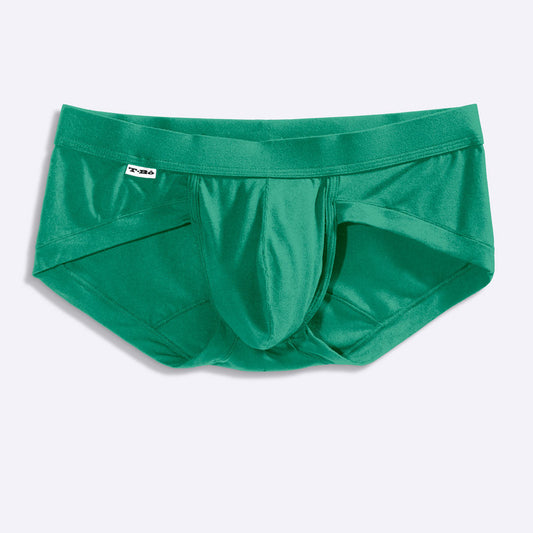 The Earth Green Brief